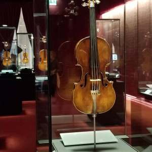 Paolo Bodini - Creating a Museum for the Violin