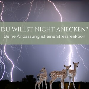 #14 Du willst nicht anecken? Willkommen im Anpassungsmodus