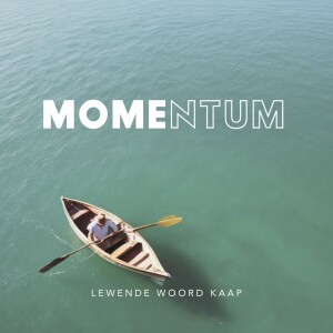 Momentum - Henri Lambrecht - 28.01.2024.