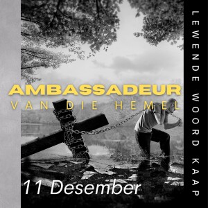 Ambassadeur Van Die Hemel - Jean Coetzee - 2022.12.11