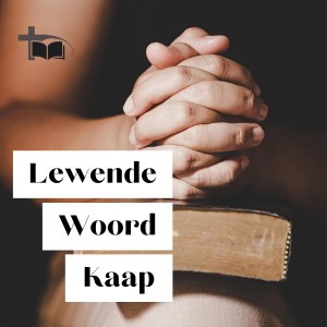2022.07.03 - Henri Lambrecht - Intensiteit