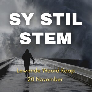 Sy Stil Stem - Jc van Rooyen - 2022.11.20