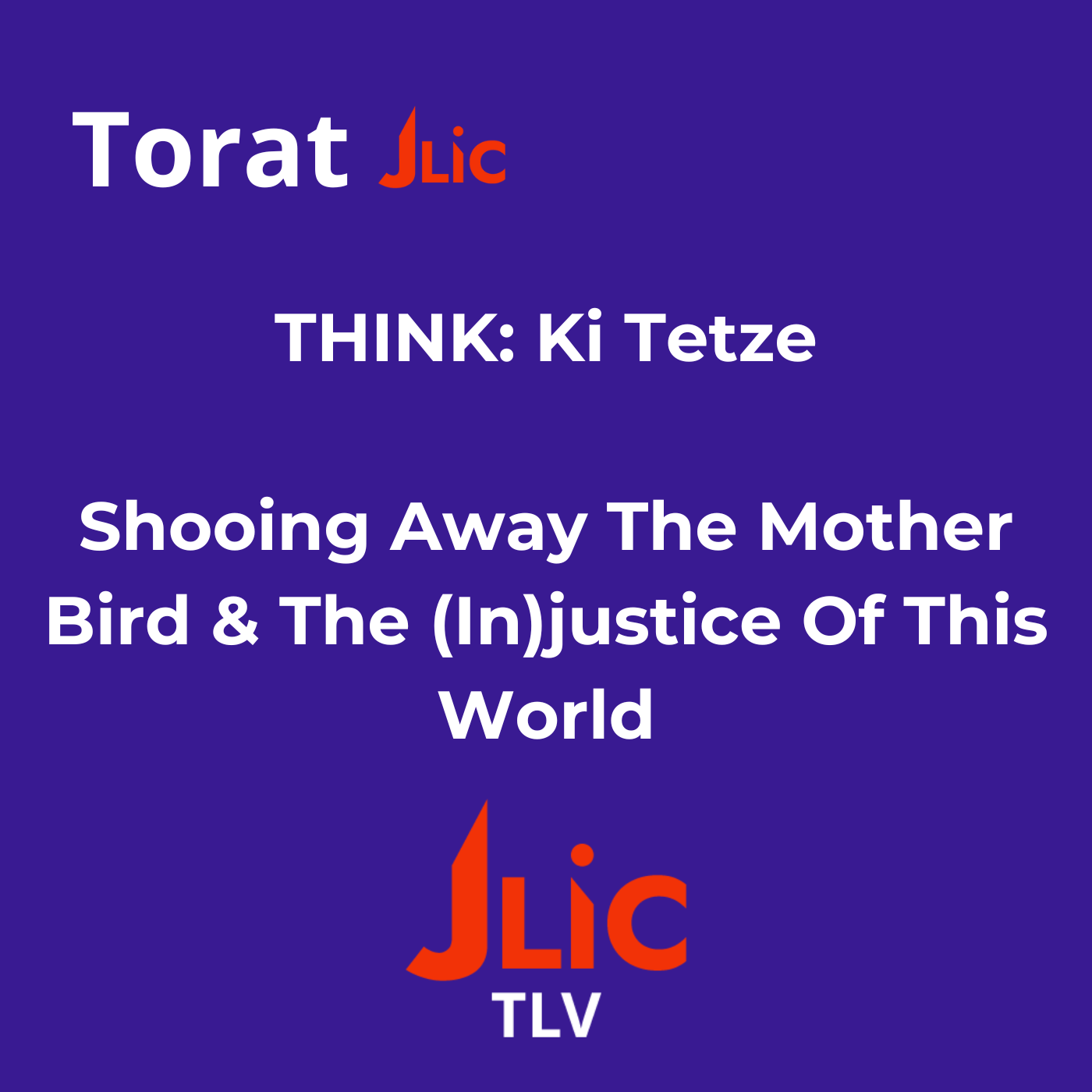 Rabbi Joe’s Torat Tel Aviv