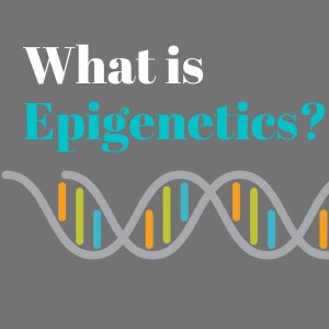 Diving into the Mystery of Epigenetics | Dr Berkley Gryder & Dr Tom Woodward