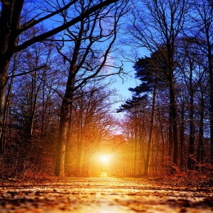 11) The Sacred Death of Old Patterns: Self-Responsibility, Rage & Being Met