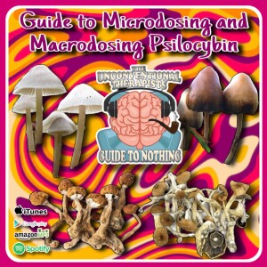 Guide to Microdosing and Macrodosing Psilocybin