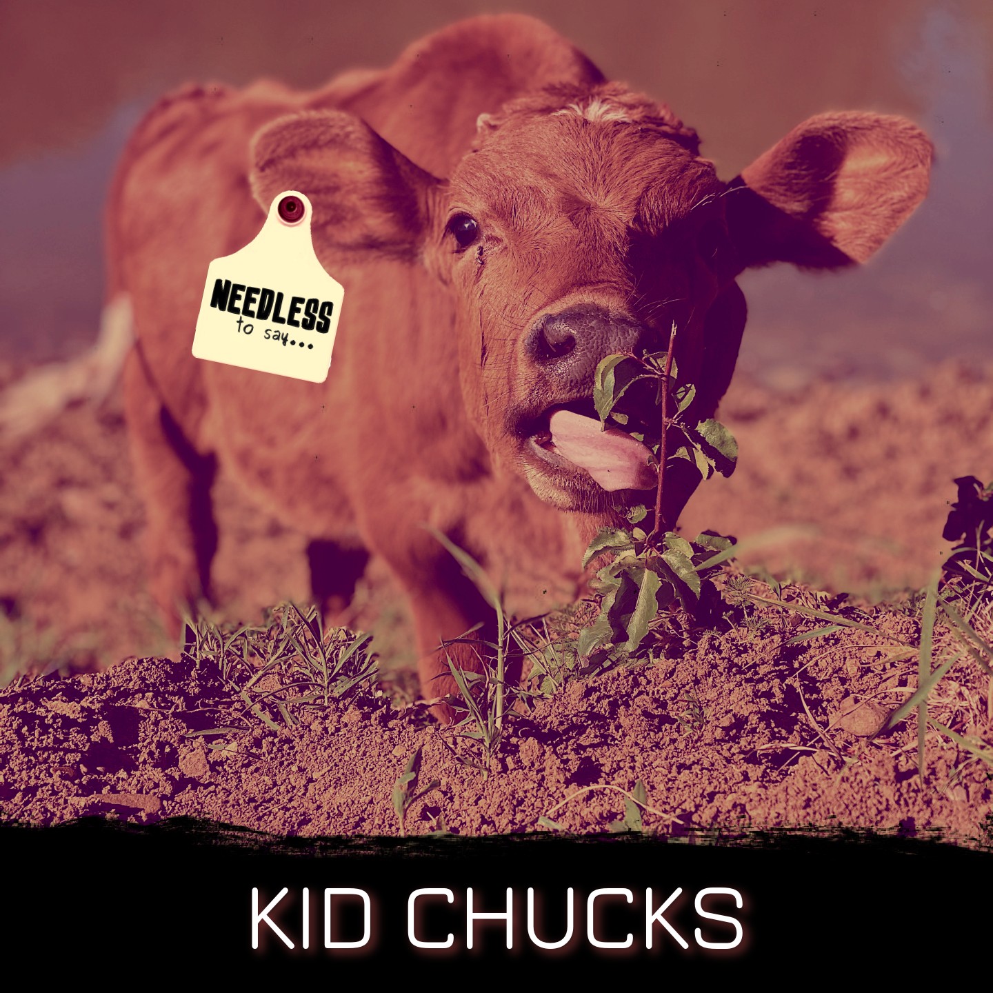 Kid Chucks Image