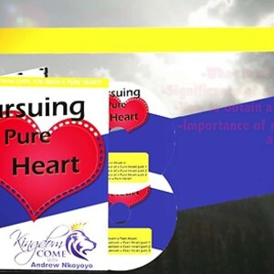 Free Gift For Partnership, DVD Series - Pursuing A Pure Heart