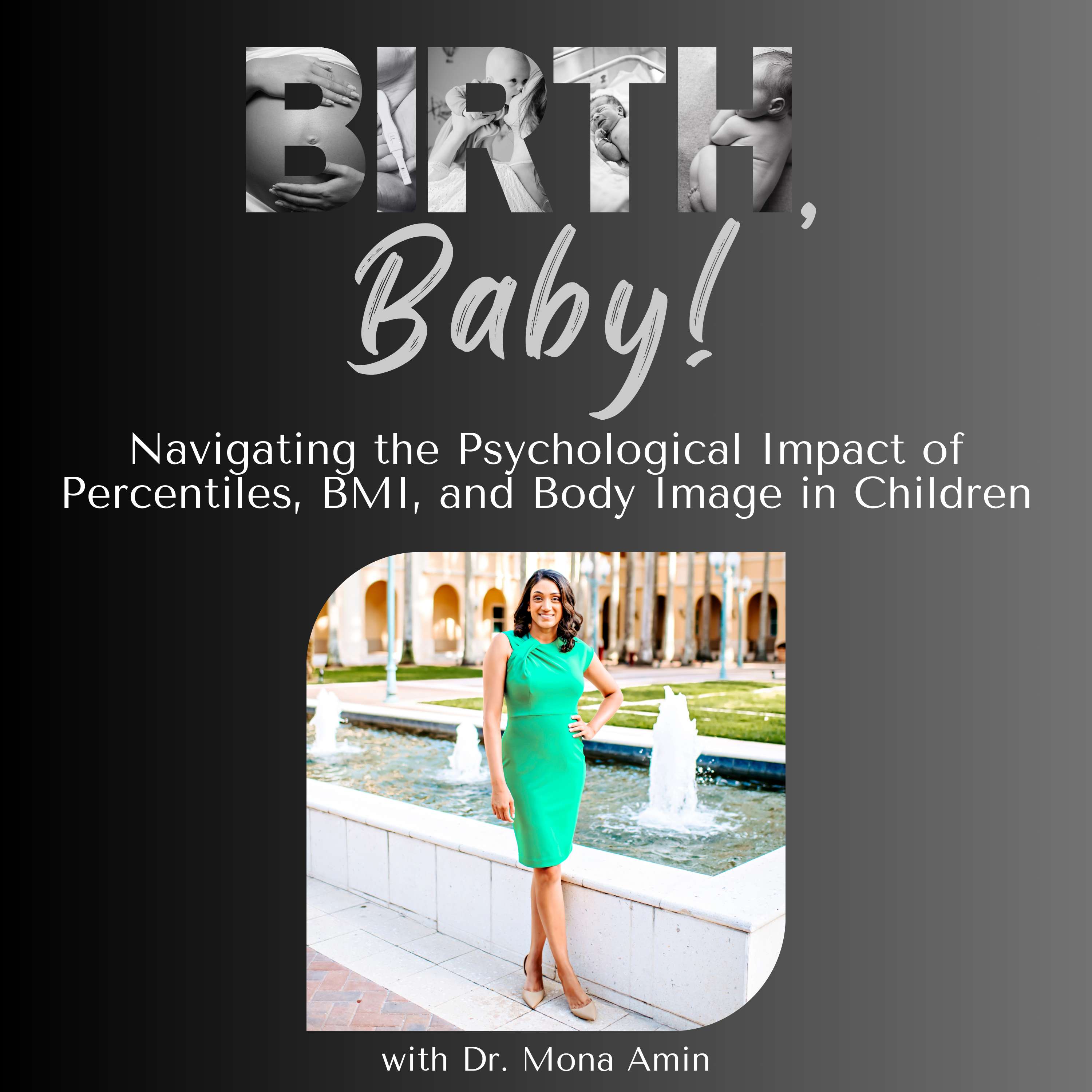 Birth, Baby! | Guidance for Pregnancy, Birth, Postpartum, and Parenting