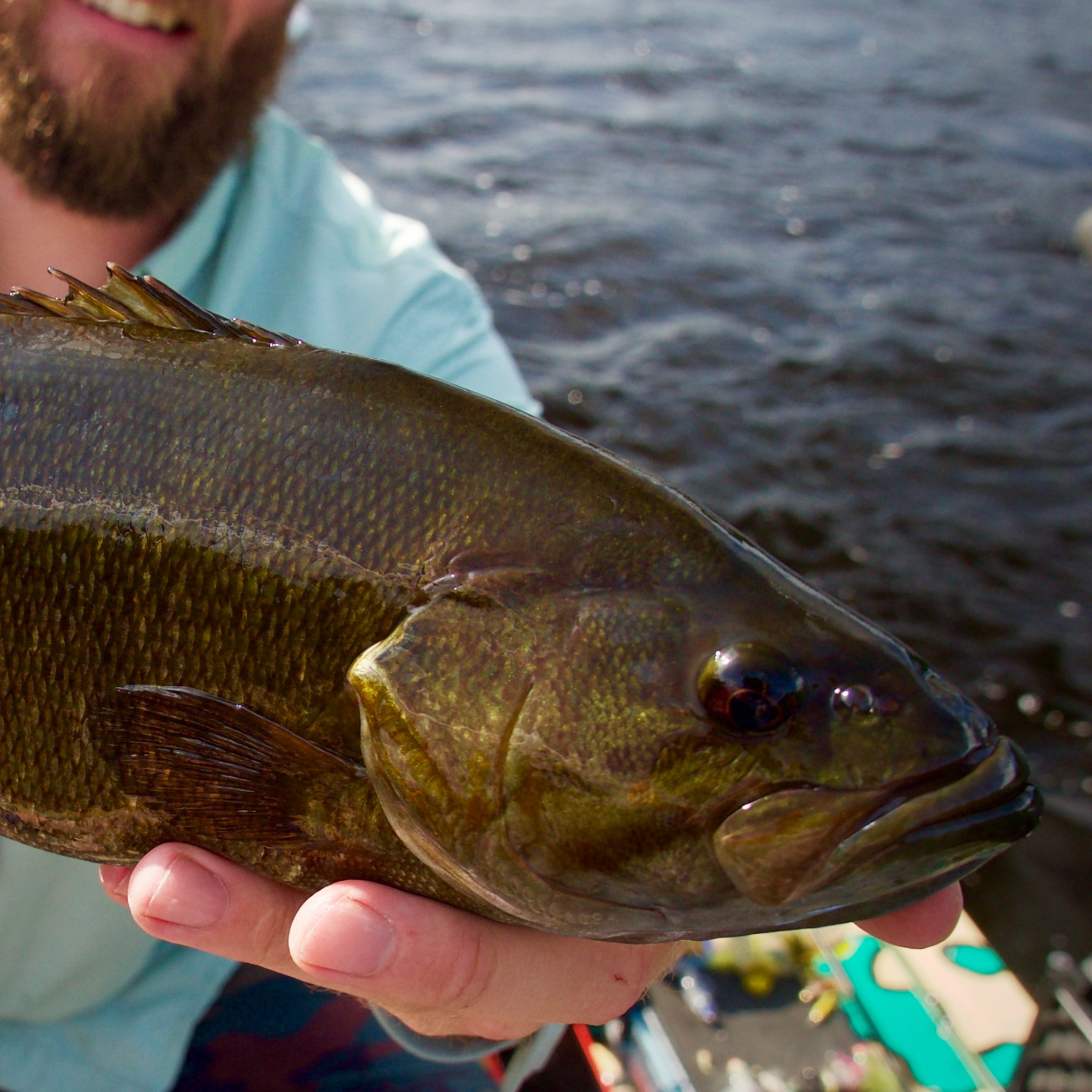 Episode #19 : Talking Maine Smallmouth and Lefty Kreh, with guide Mike Jones