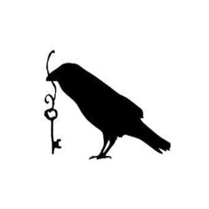 An Hour with Lisa Svencicki - Owner of Asheville Raven & Crone