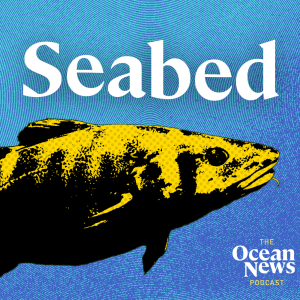 Off the Menu. Fish are KEY seabed engineers - The Ocean News Podcast