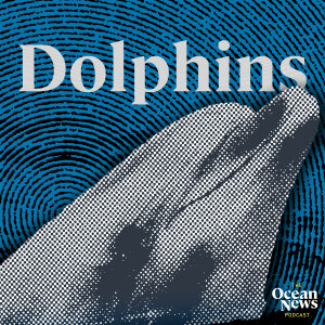 Are Phytoplankton Causing Dolphin DEATHS? - The Ocean News Podcast