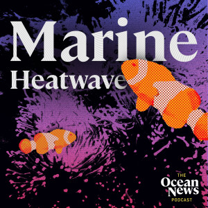 Marine Heatwaves Do BILLIONS in Global Damage - The Ocean News Podcast