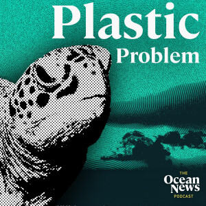 SHOCKING levels of microplastics found in Sea Turtles - The Ocean News Podcast