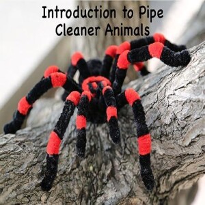 Download & read Introduction to Pipe Cleaner Animals: Volume 1