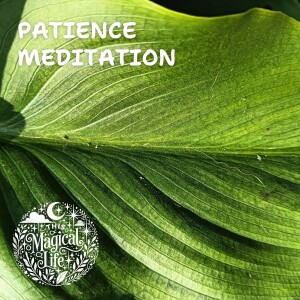 Meditation for Patience with Eimear Burke (w Music)