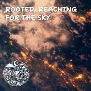 Roots in the Earth, Reaching for the Sky
