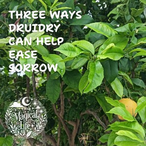 Three ways Druidry can help ease sorrow