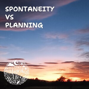 Spontaneity vs Planning