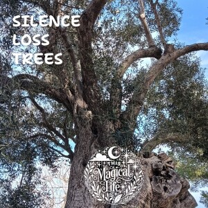 The Fear of Loss and Silence, How Trees Help Us