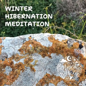 Winter Hibernation Meditation