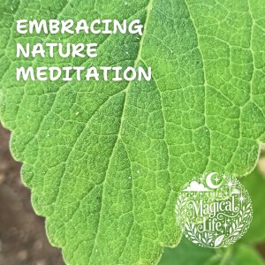 Meditation w Music: Embracing Nature Meditation