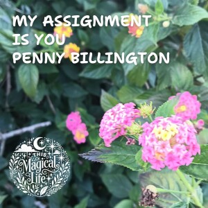 Finding Peace and Connection: My Assignment is You