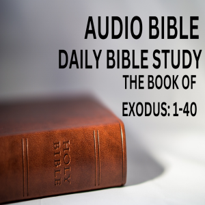 Daily Bible Study: The Book of Exodus: Chapters 1 - 40. FULL AUDIO BOOK (CHAPTERS MARKED)