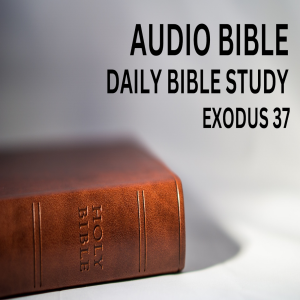 Book of Exodus: Chapter 37: The Ark of Testimony. Table For The Showbread. Gold Lampstand, Altar Of Incense And Anointing Oil