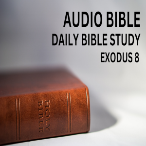 Book of Exodus: Chapter 8: Second Plague: Frogs. Third Plague: Lice. Fourth Plague: Flies.