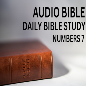 Book of Numbers: Chapter 7: Offerings Of The Leaders Of Israel