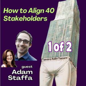 S1E4 Part 1 VIDEO Navigating the Complexities of Digital Projects in Non-Tech Orgs with Adam Staffa