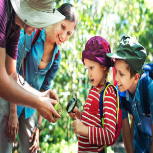 Why Brooklyn Day Camps Are Perfect for Your Child This Summer