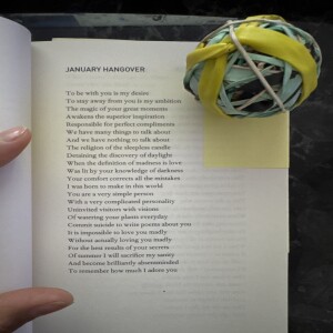 Exploring 'January Hangover': A Poetic Journey