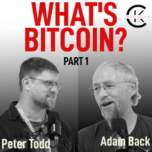 001 Episode WHAT'S BITCOIN? Part 1 with Adam Back & Peter Todd