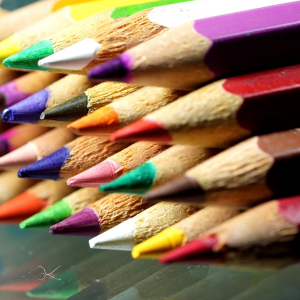 Looking ahead: what can we expect from education policy in the upcoming year?