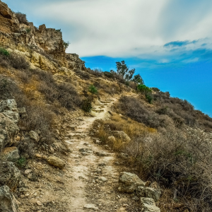 Keep going: routes to sustainable improvement and finding your why