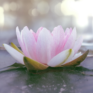 Call them honest: conversations to empower, understand and resolve