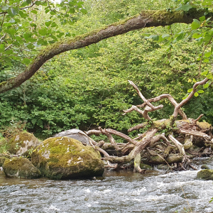 Navigating the unexpected: advice for school leaders