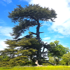 Enjoy what you do: hope, joy and staying power