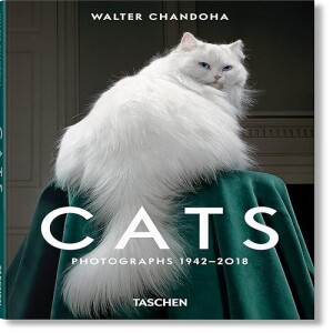 REad Boook Cats: Photographs 1942-2018