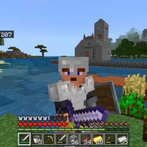51. Folge Zombie-Piglin Farm (Nach Übertragung)