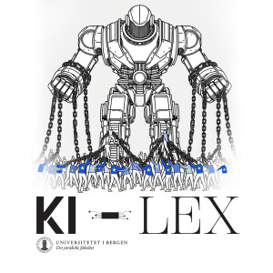 Mr. Bot goes to Brussels: KI-forordningen og personvern