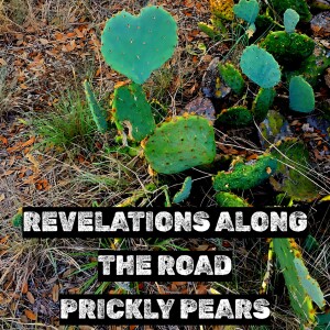 Revelations Along the Road Ep. 7 - Prickly Pears