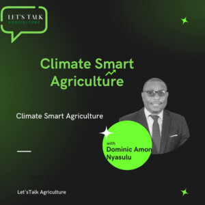 Episode 4: Climate Smart Agriculture with Dominic Amon Nyasulu