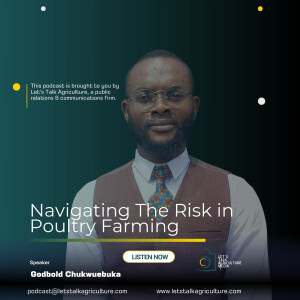 Navigating the Risks in Poultry Farming with Godbold Chukwuebuka