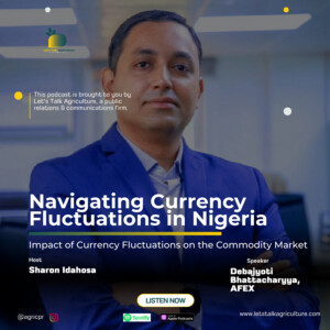 Navigating Currency Fluctuations with Debajyoti Bhattacharyya: Part 2