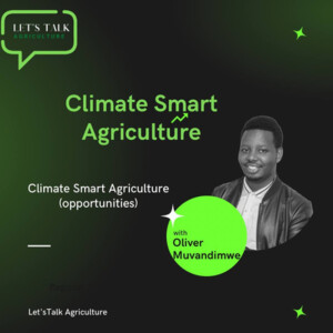 Episode 6: Climate Smart Agriculture with Olivier Muvandimwe