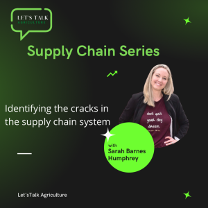 Episode 1: Identifying the Cracks in the Supply Chain System with Sarah Barnes Humphrey